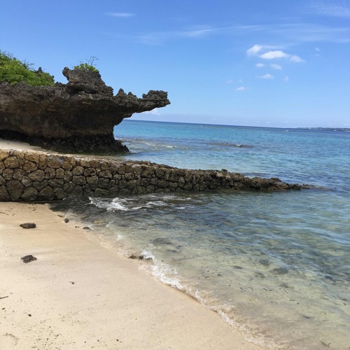 WATER (leak) prod. By Wiz Tha Great