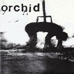 Orchid - Consumed (1998 Split)