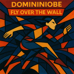 Fly Over the Wall
