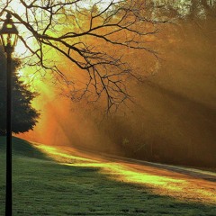 Morning Light