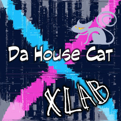 Tha House Cat