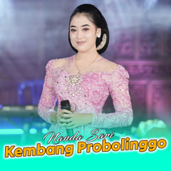 Kembang Probolinggo
