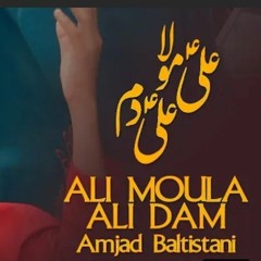 ALI_MOLA_ALI_DAM_DAM_|_Amjad_Baltistani_|_Official_Video_|_New_Kalam_2021
