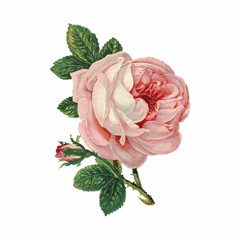 General Playlist 2023