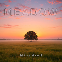Meadow