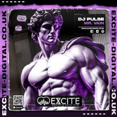 Mr Vain (DJ Pulse Remix)