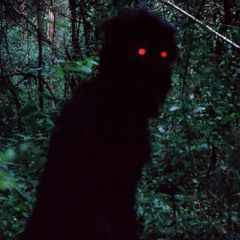 enemy in the woods