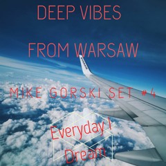 Summer Vibes - organic house seletion
