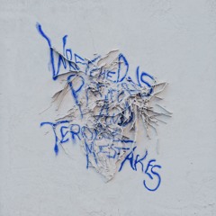Cortical - Wretched Patterns and Terrible Mistakes [Premiere]