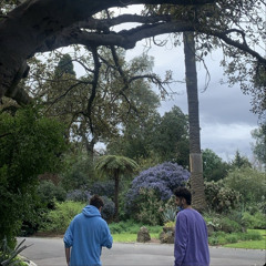 House and Disco Dimes