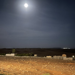 مدغم ابوشيبه |‎⁨ احبه واعرف إن سلطة الحب جبّاره ⁩