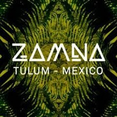 Zamna Tulum 2024 Mix - VLADI V