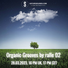 Organic Grooves by ralle 28.3
