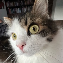 Oscar ft. Amuly - Aripi reloaded