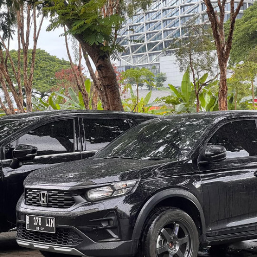 #Req wynona.dg4 by SPHYNX x K. Davidson