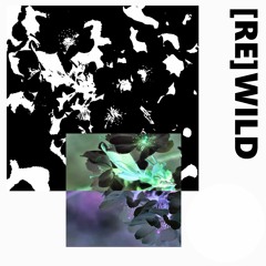 [Re]Wild TEST 01