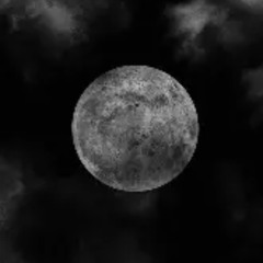 Grammy (prod. noizy)