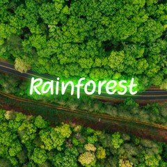 Rainforest (Free To Use)