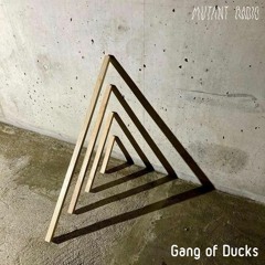 Gang Of Ducks[19.02.2021]