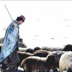 Zma_Shpoonkaya_Yara—Mangal_Ustad_ao_Naghma ﺯما_شپونکيه_ياره_استاد_او_نغمه2