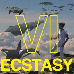 Ecstasy VI