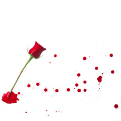 Blood and Roses, a Poem by Isabella Harley