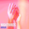 Descargar video: Nightbirds #21