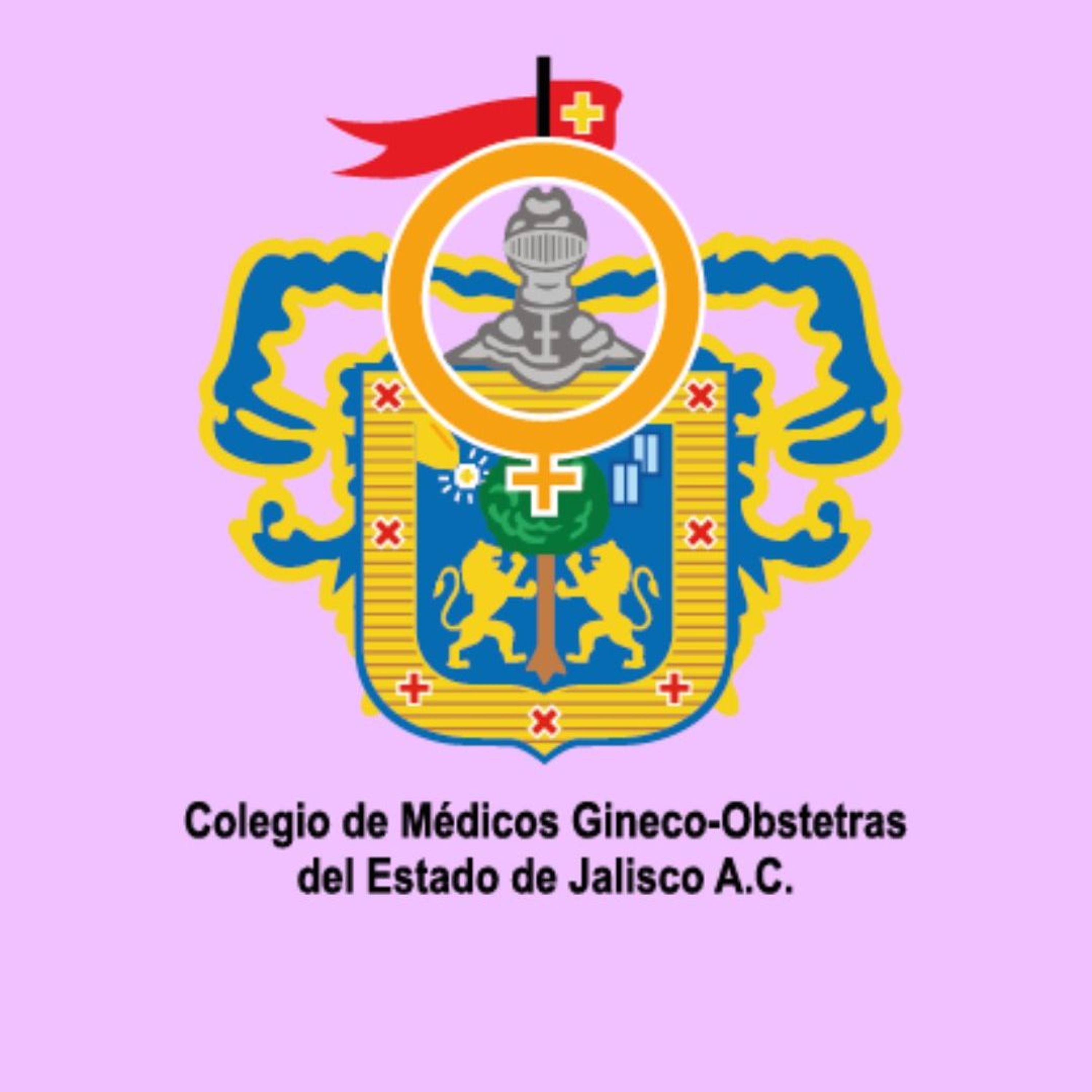 XXXI congreso internacional de ginecología y obstetricia. episode artwork