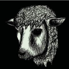 Black Sheep (Grown Up)