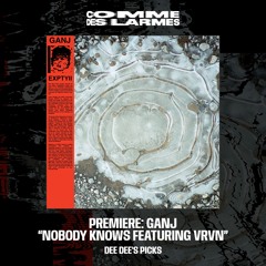 PREMIERE CDL || Ganj - Nobody Knows Featuring VRVN [Dee Dee's Picks] (2024)