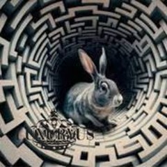 Livingroom Sookasa Down the Rabbit Hole Mix