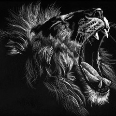 Baby9 - My Lions Roaring