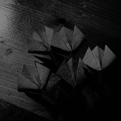 A letter I never sent