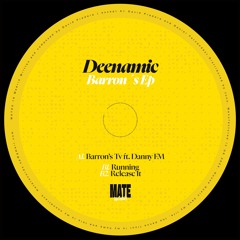 Deenamic - Release it