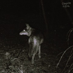Coyote Teeth, pt.1 (Full EP)