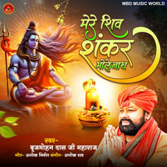 Mere Shiv Shankar Bhole Nath