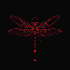 Dragonfly (Shay. Remix)