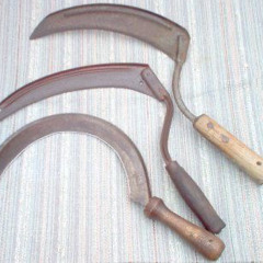 jardineiro da bosta triste misticista demo