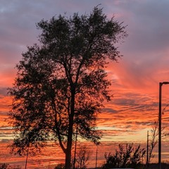 ring of light (mick mix)