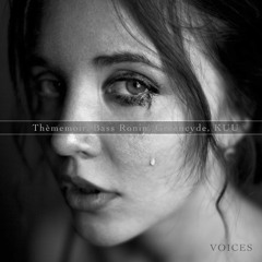 Thèmemoir, Bass Ronin, Greencyde, KUU - Voices