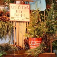 Christmas Tree Farm