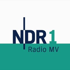Radiobeitrag des NDR zum Theaterabend "Wie macht man gute Kunst für Ostdeutsche?"
