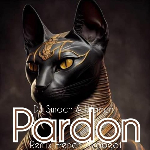 Pardon Remix Dj Smach & Warren SAADA