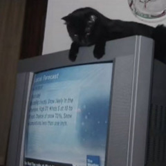 new kid (prod. geam)