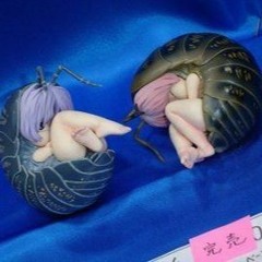 True Love (plastic pet cover)