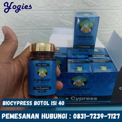 WA : 0831-7239-7127 , Agen Biocypress  kab Lampung Barat, Obat Herbal Asam Lambung