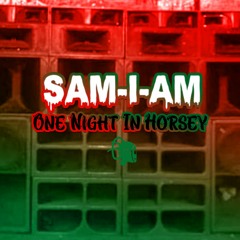 Sam-I-Am - One Night in Horsey(OUT NOW)