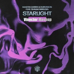 Martin Garrix, DubVision Feat. Shaun Farrugia - Starlight Vs High On Life (VINECTER MASHUP)