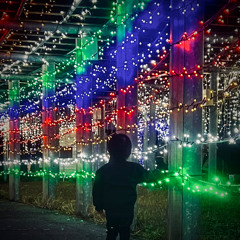 ちいさなおとぎ話【サブスク配信中】