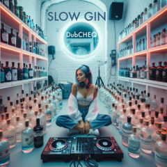 Slow Gin
